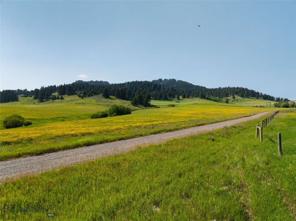 Parcel 6 Jackson Creek Property Photo 15