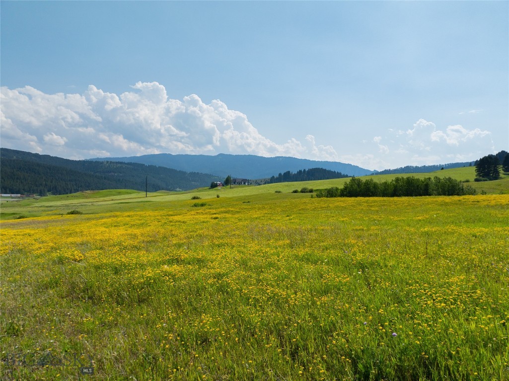 Parcel 6 Jackson Creek Property Photo 16