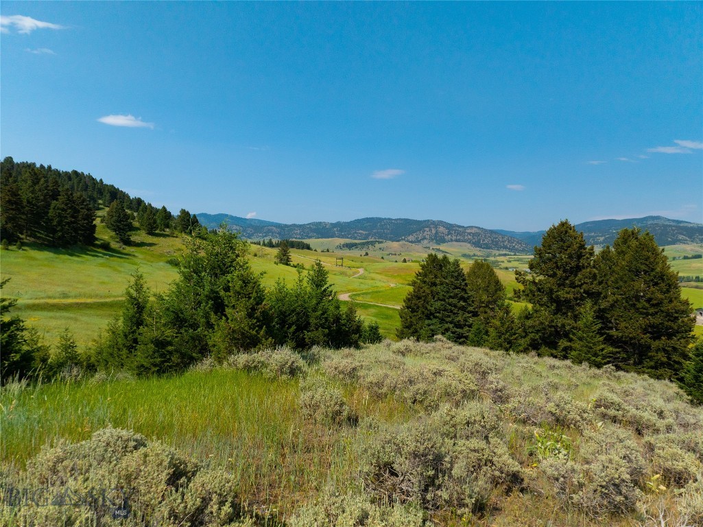 Parcel 6 Jackson Creek Property Photo 19