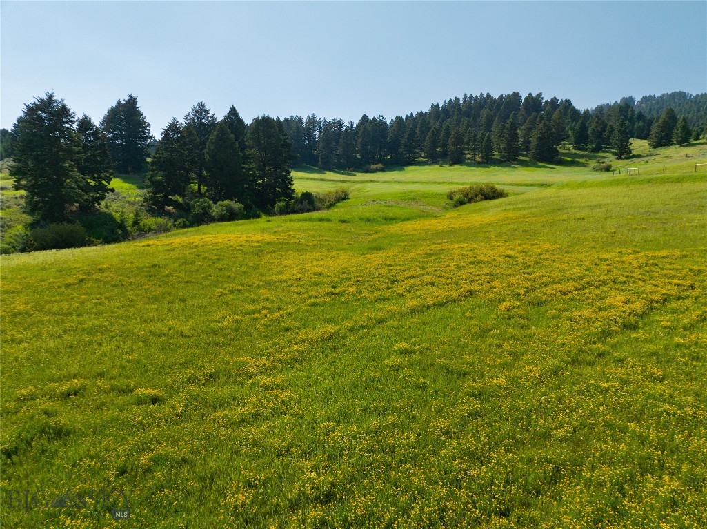 Parcel 6 Jackson Creek Property Photo 21