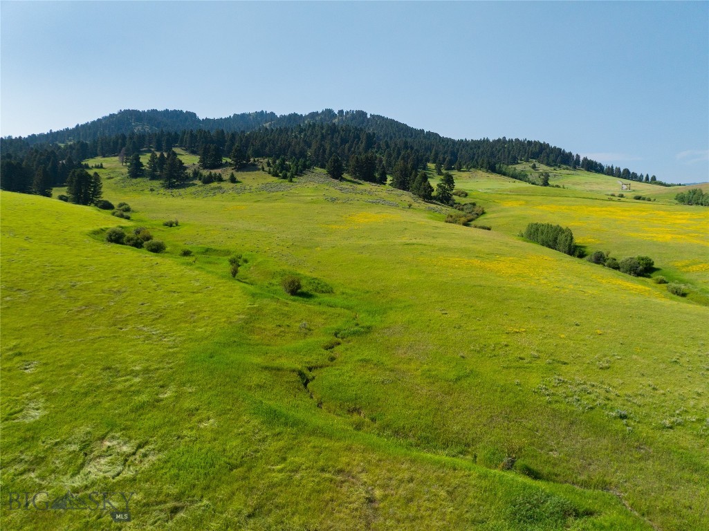Parcel 6 Jackson Creek Property Photo 31