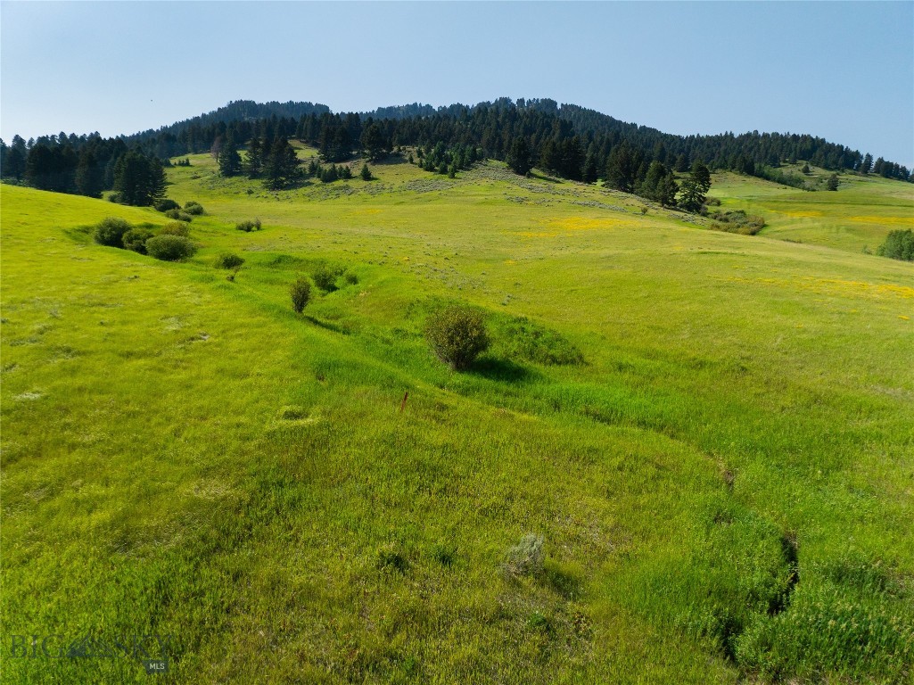 Parcel 6 Jackson Creek Property Photo 32