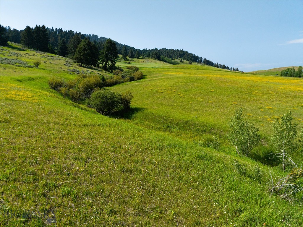 Parcel 6 Jackson Creek Property Photo 33