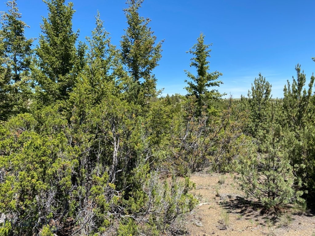 17 Keating Gulch Road Property Photo 6