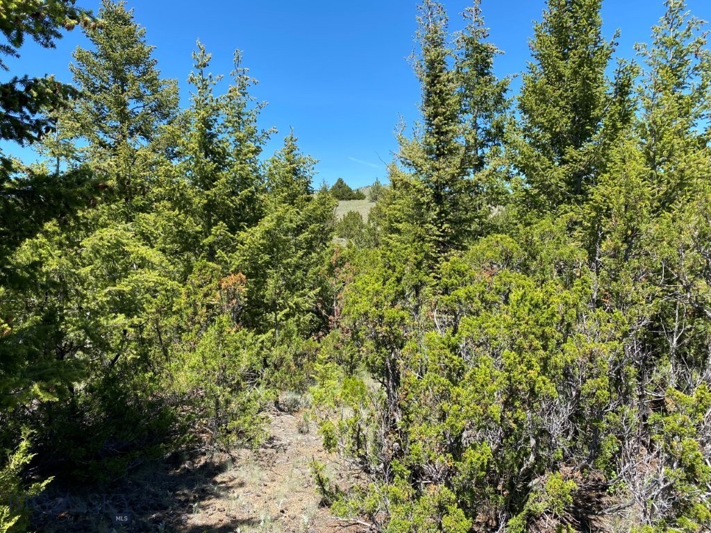 17 Keating Gulch Road Property Photo 8