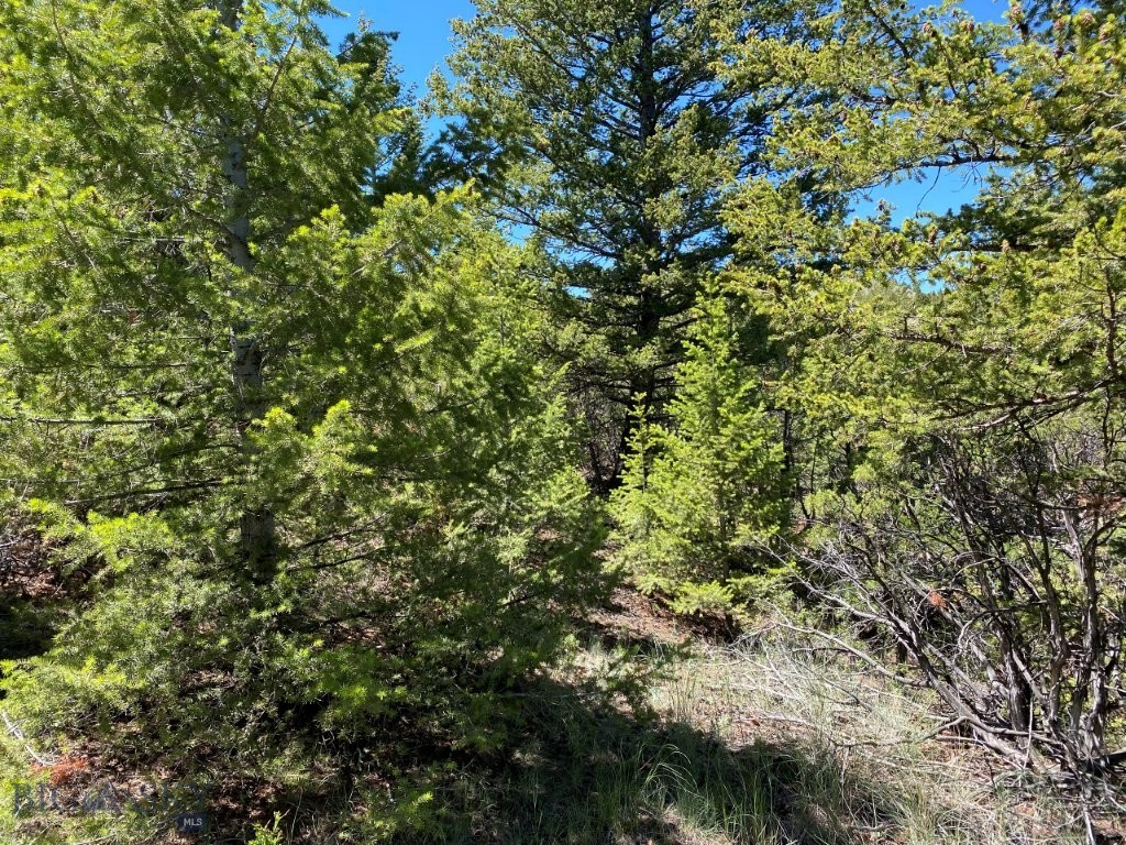 17 Keating Gulch Road Property Photo 11