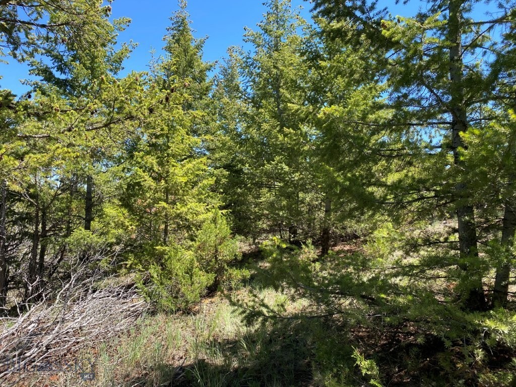 17 Keating Gulch Road Property Photo 12