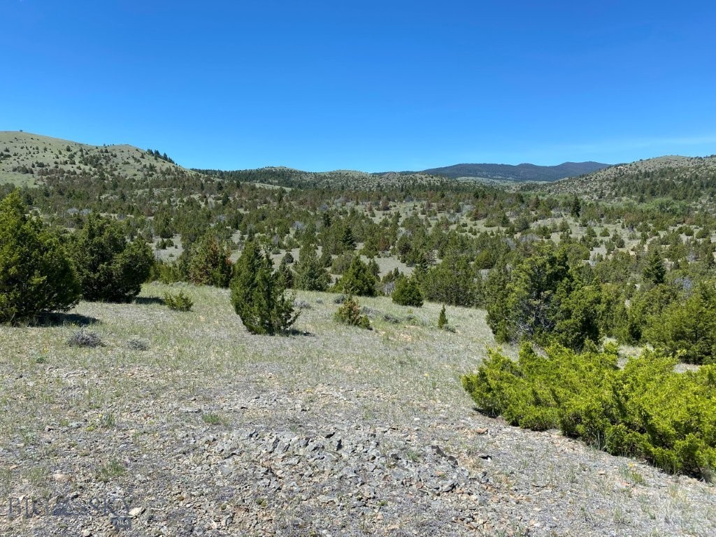 17 Keating Gulch Road Property Photo 17