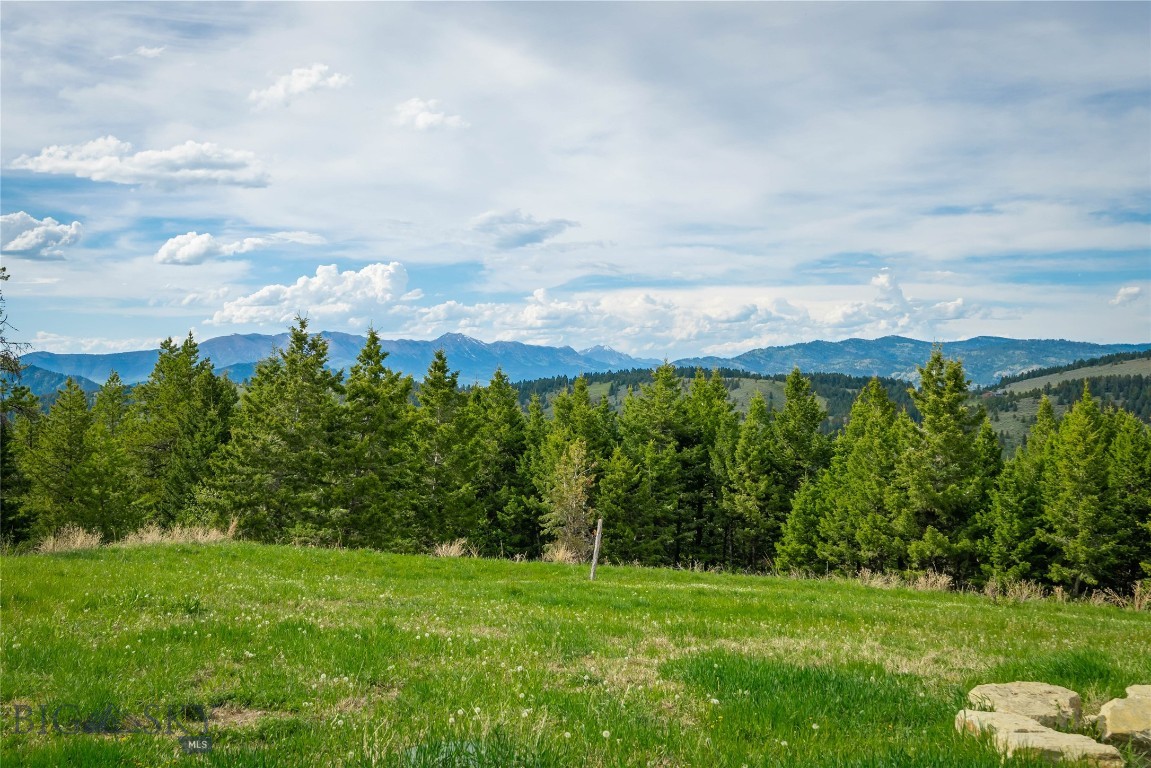 280 High Ridge Road Property Photo 87