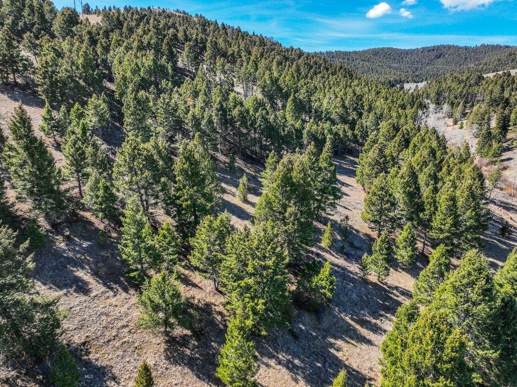 Tbd Lone Pine Gulch Road Property Photo 7