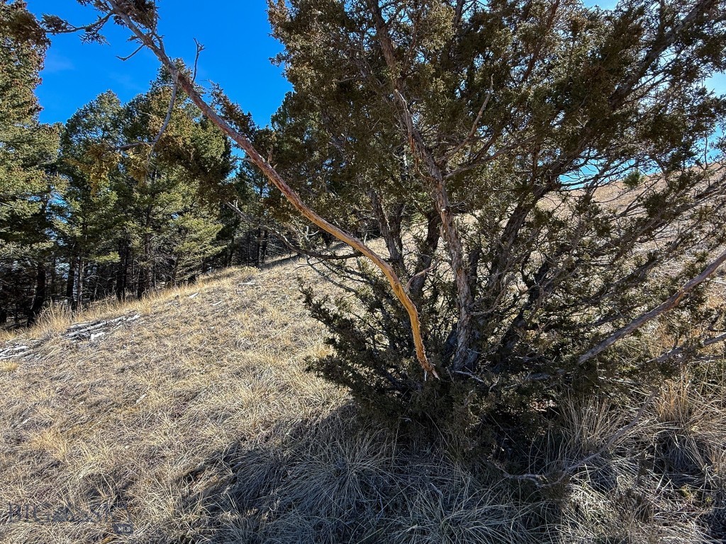 Tbd Lone Pine Gulch Road Property Photo 9
