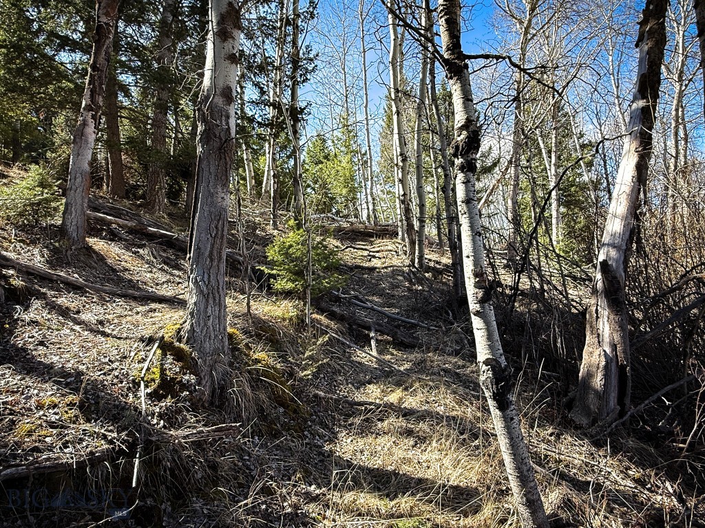 Tbd Lone Pine Gulch Road Property Photo 11