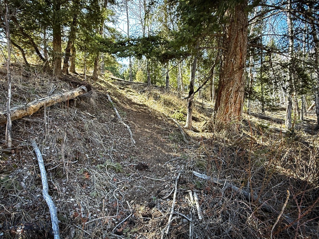 Tbd Lone Pine Gulch Road Property Photo 12