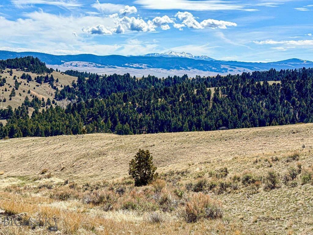 Tbd Lone Pine Gulch Road Property Photo 16