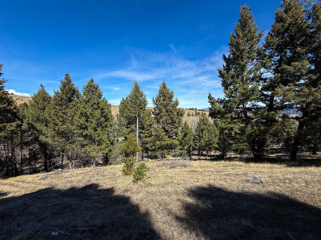 Tbd Lone Pine Gulch Road Property Photo 17