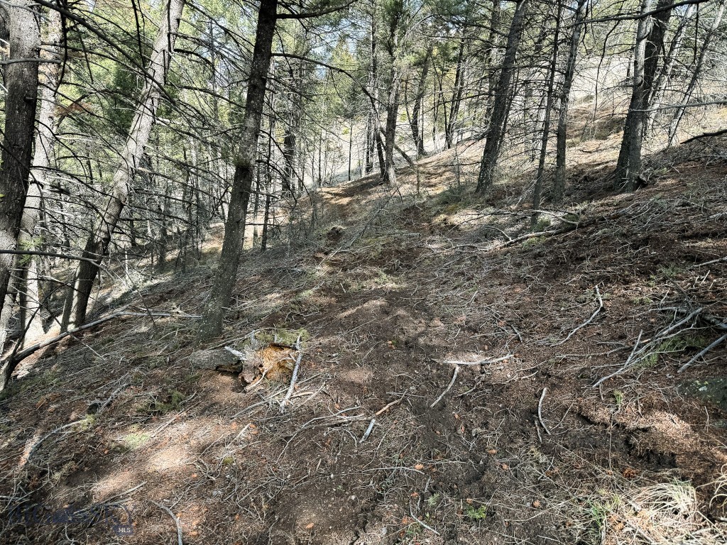 Tbd Lone Pine Gulch Road Property Photo 20