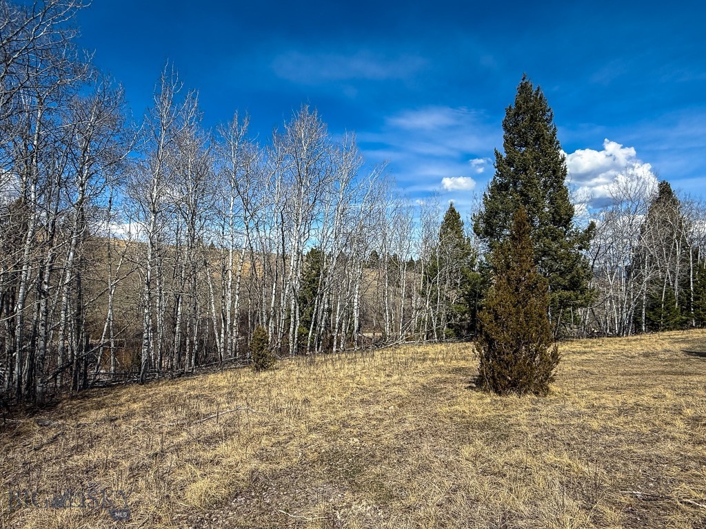 Tbd Lone Pine Gulch Road Property Photo 23
