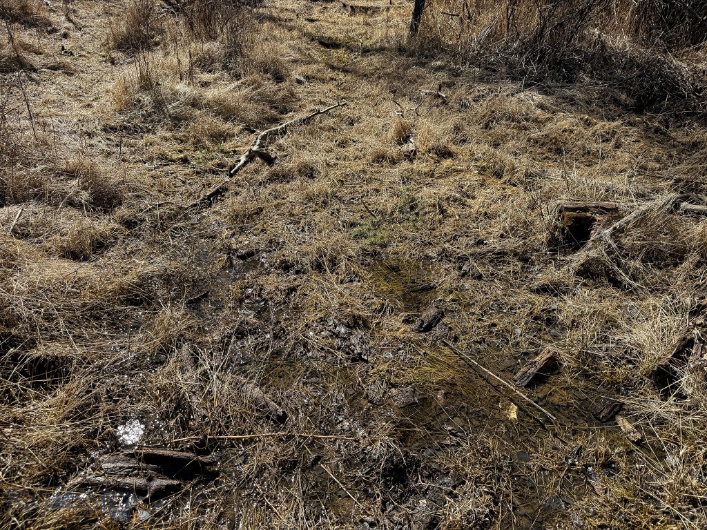 Tbd Lone Pine Gulch Road Property Photo 26