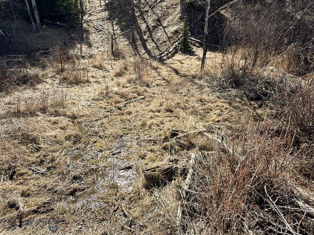 Tbd Lone Pine Gulch Road Property Photo 27
