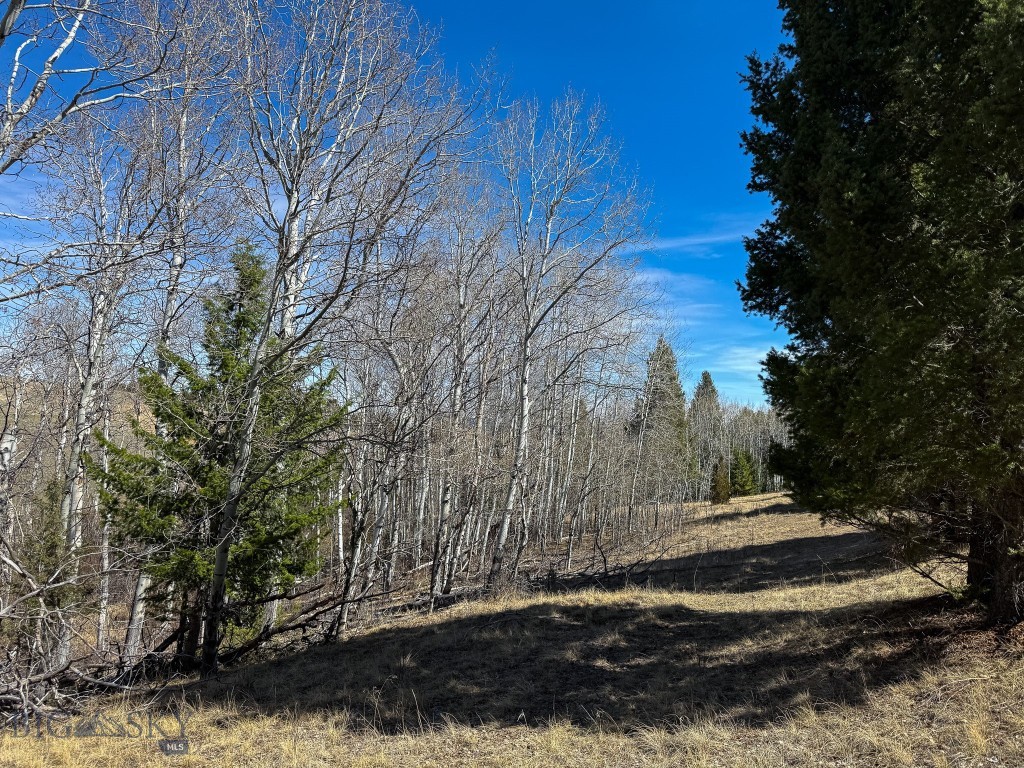 Tbd Lone Pine Gulch Road Property Photo 29