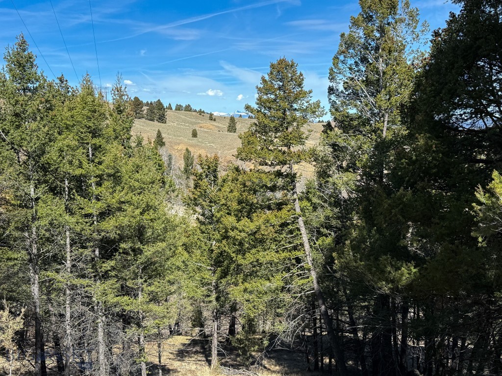 Tbd Lone Pine Gulch Road Property Photo 31
