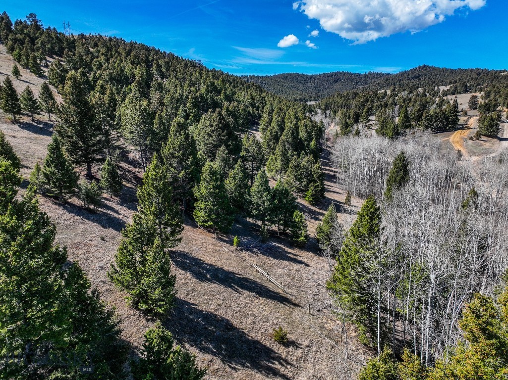 Tbd Lone Pine Gulch Road Property Photo 32