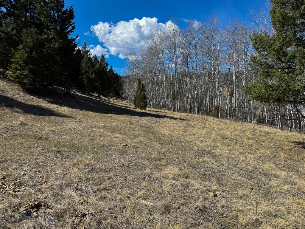 Tbd Lone Pine Gulch Road Property Photo 33