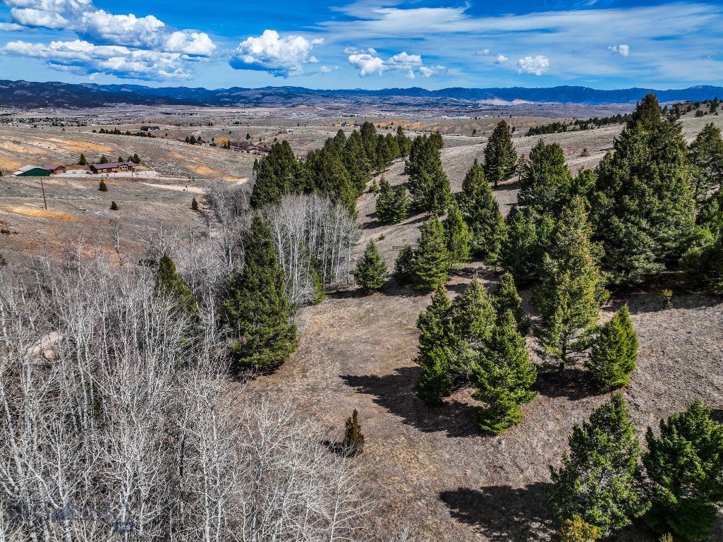 Tbd Lone Pine Gulch Road Property Photo 35