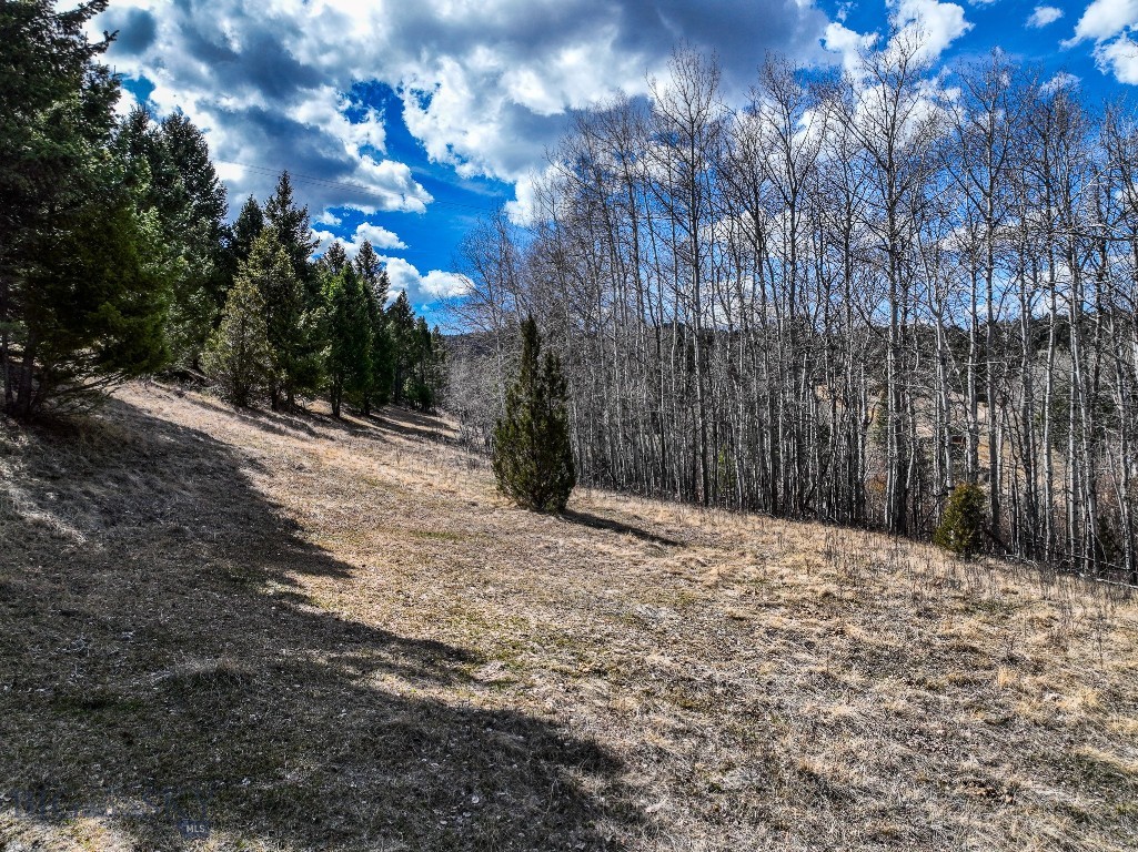 Tbd Lone Pine Gulch Road Property Photo 38