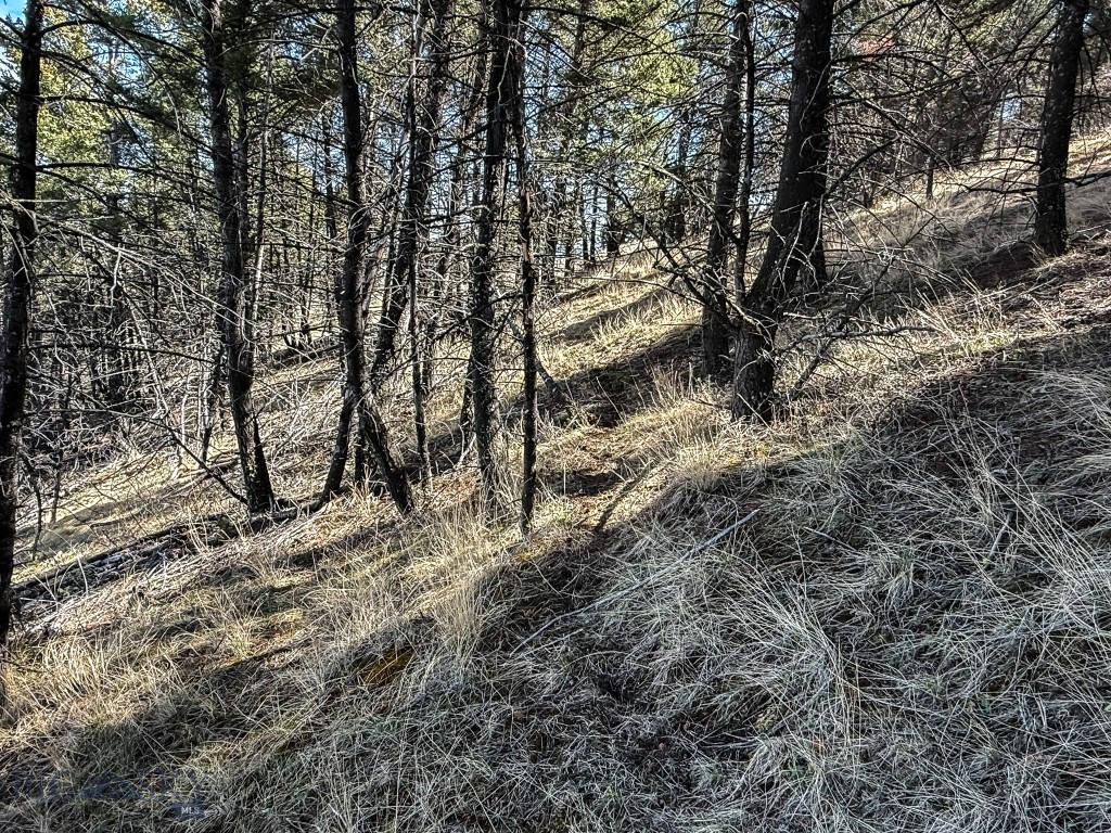 Tbd Lone Pine Gulch Road Property Photo 41
