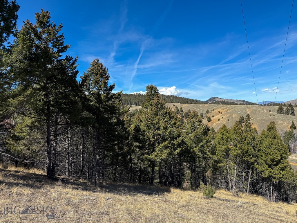 Tbd Lone Pine Gulch Road Property Photo 44