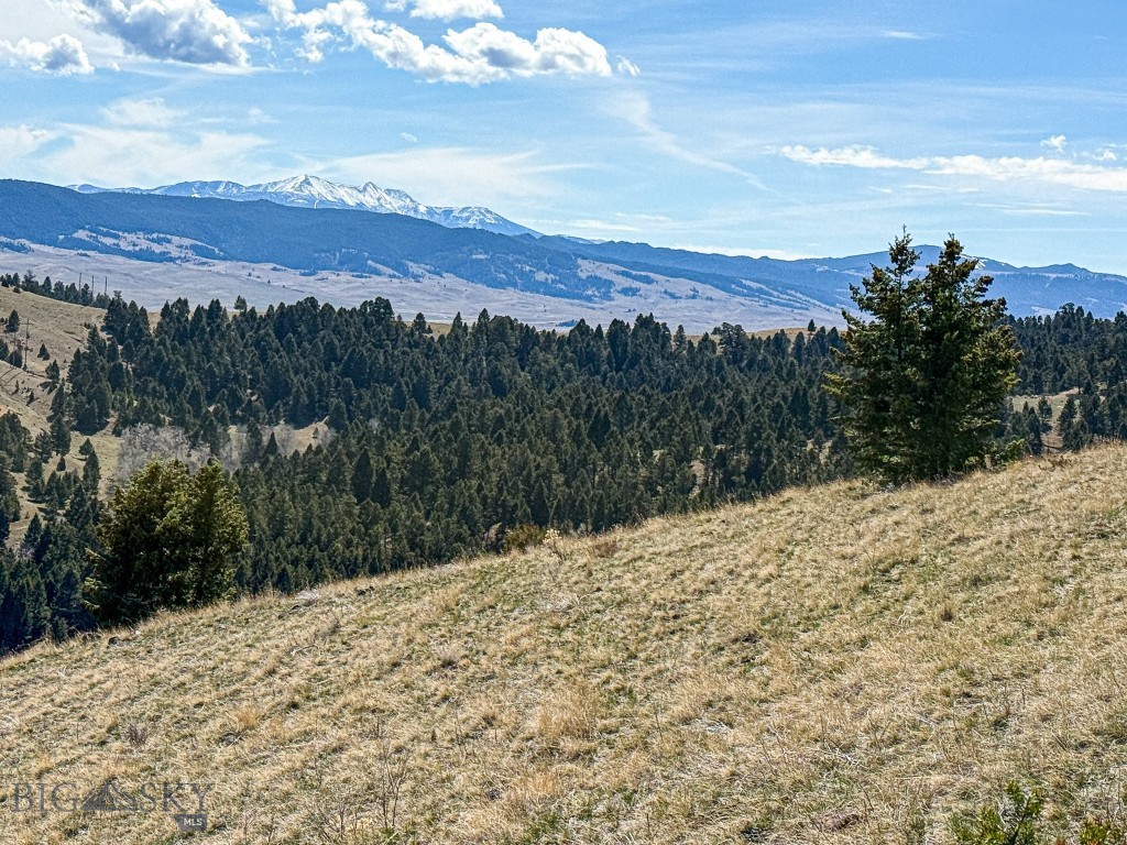 Tbd Lone Pine Gulch Road Property Photo 45