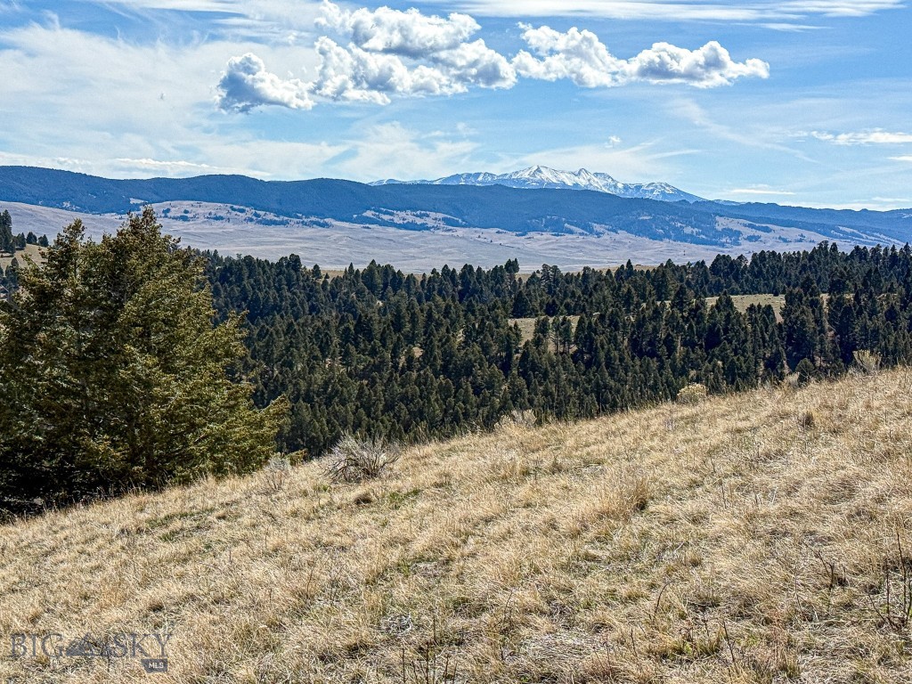 Tbd Lone Pine Gulch Road Property Photo 50