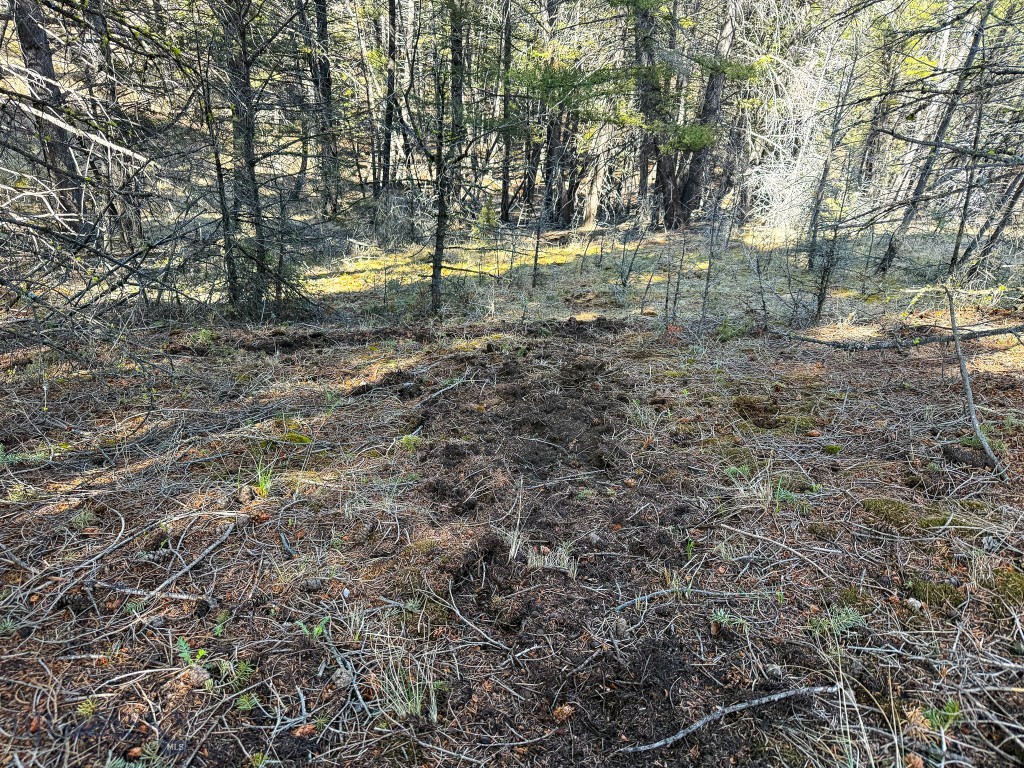 Tbd Lone Pine Gulch Road Property Photo 53