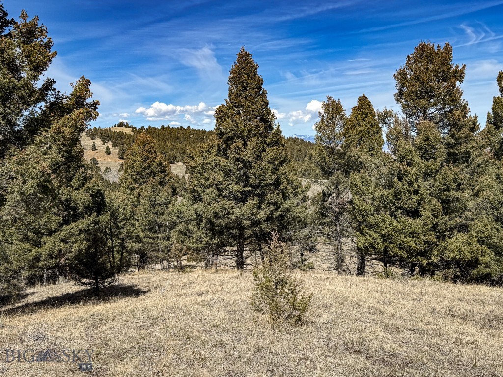 Tbd Lone Pine Gulch Road Property Photo 55