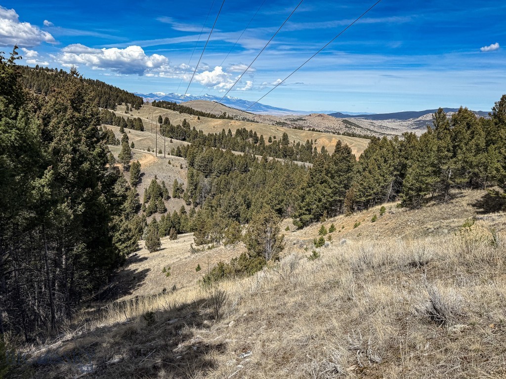 Tbd Lone Pine Gulch Road Property Photo 58