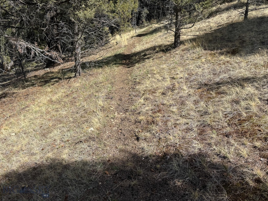 Tbd Lone Pine Gulch Road Property Photo 60