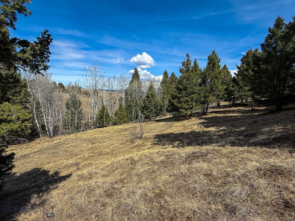 Tbd Lone Pine Gulch Road Property Photo 61