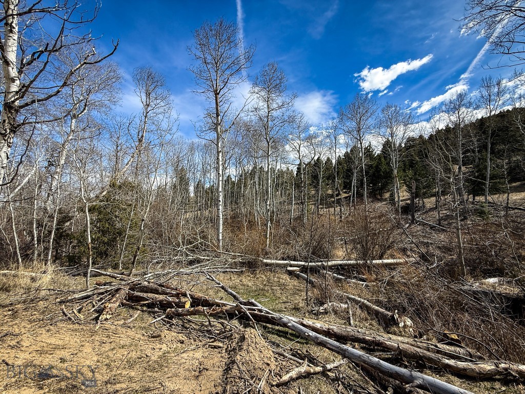 Tbd Lone Pine Gulch Road Property Photo 62