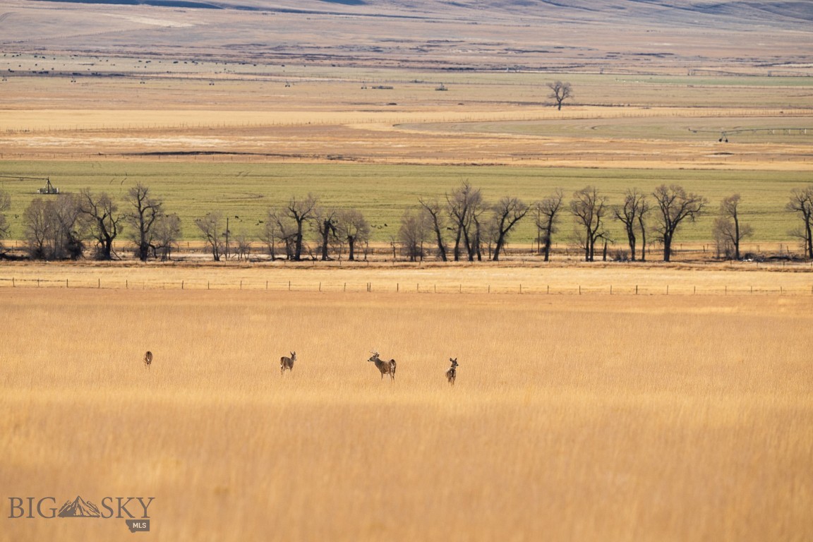 Tbd Buster Brown Road Property Photo 5