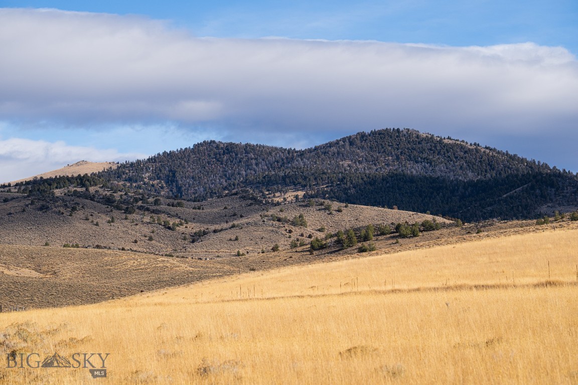 Tbd Buster Brown Road Property Photo 10