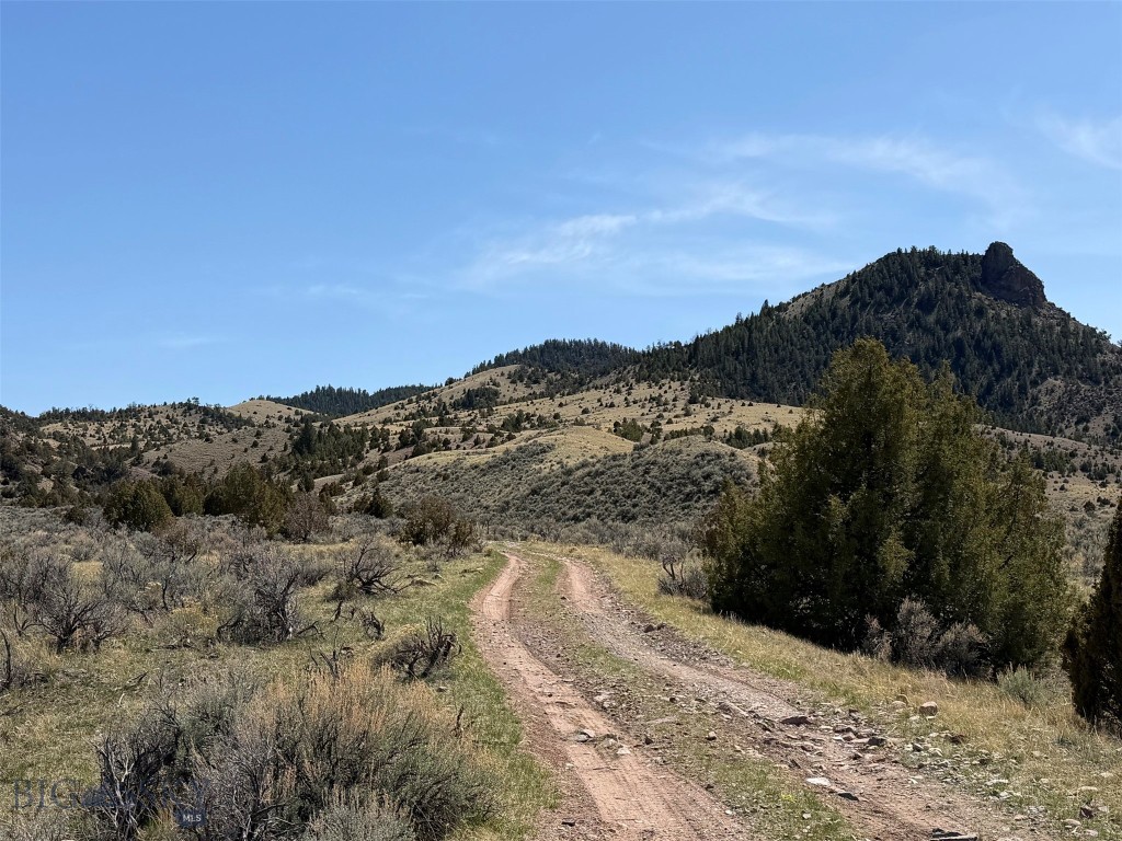 6275 Lower Grasshopper Road Property Photo 18
