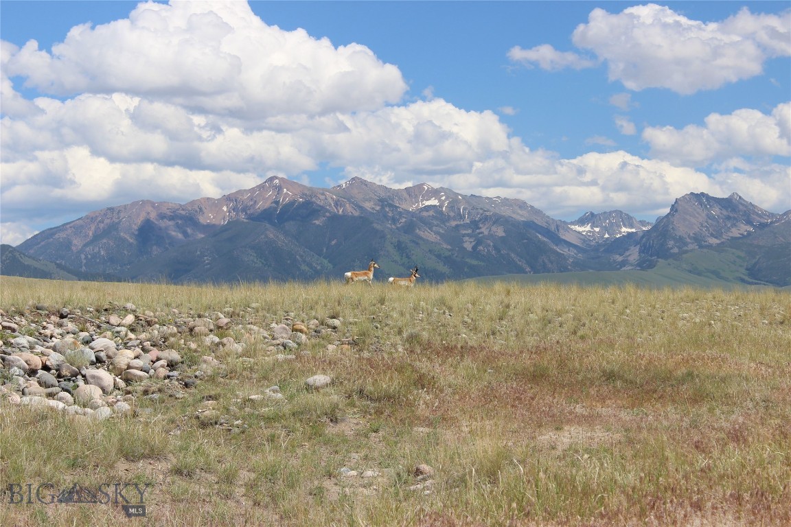 Lot 70 Sphinx Mountain Sub. Property Photo 2