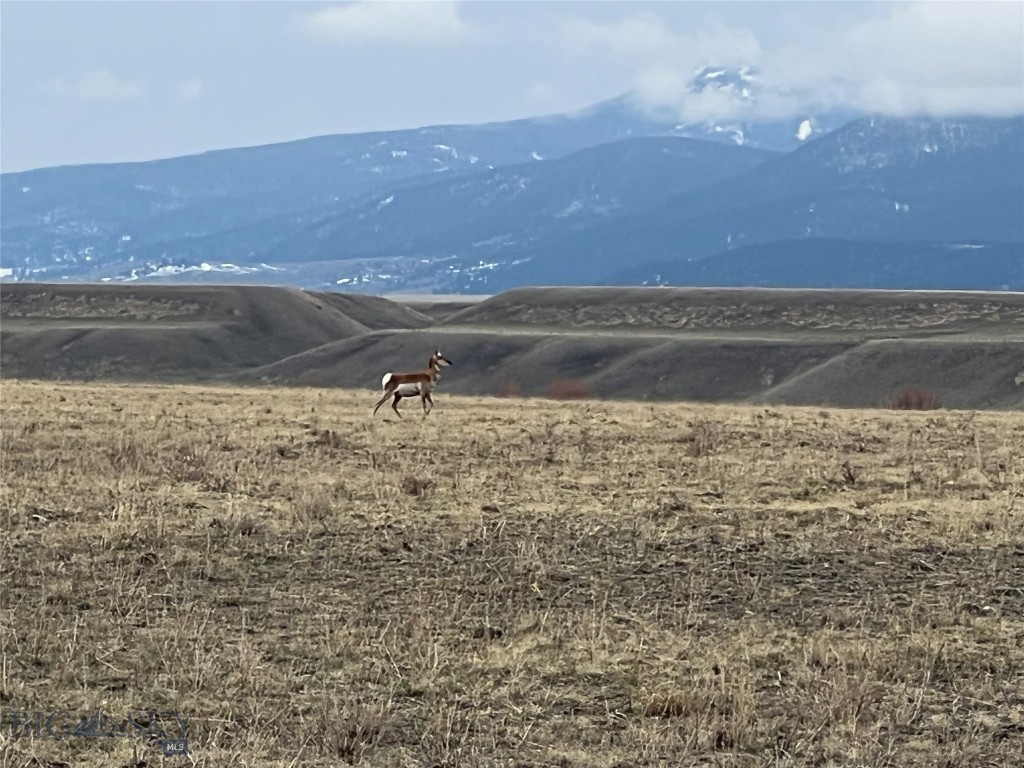 Lot 70 Sphinx Mountain Sub. Property Photo 5