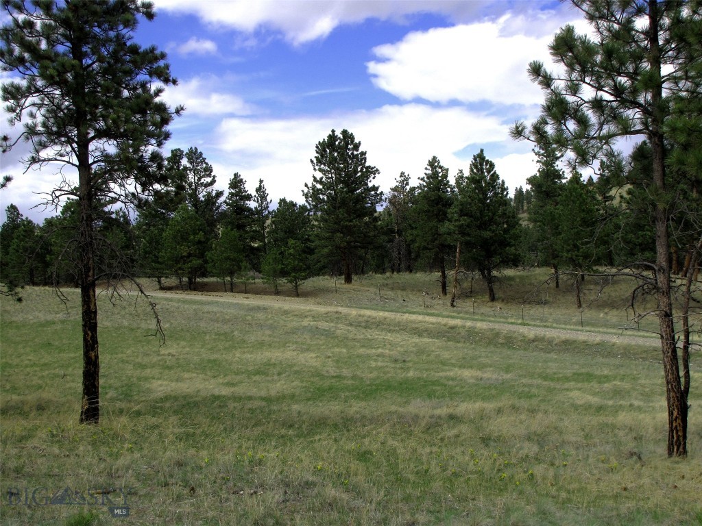 Tbd Wild Turkey Ridge Road Property Photo 6