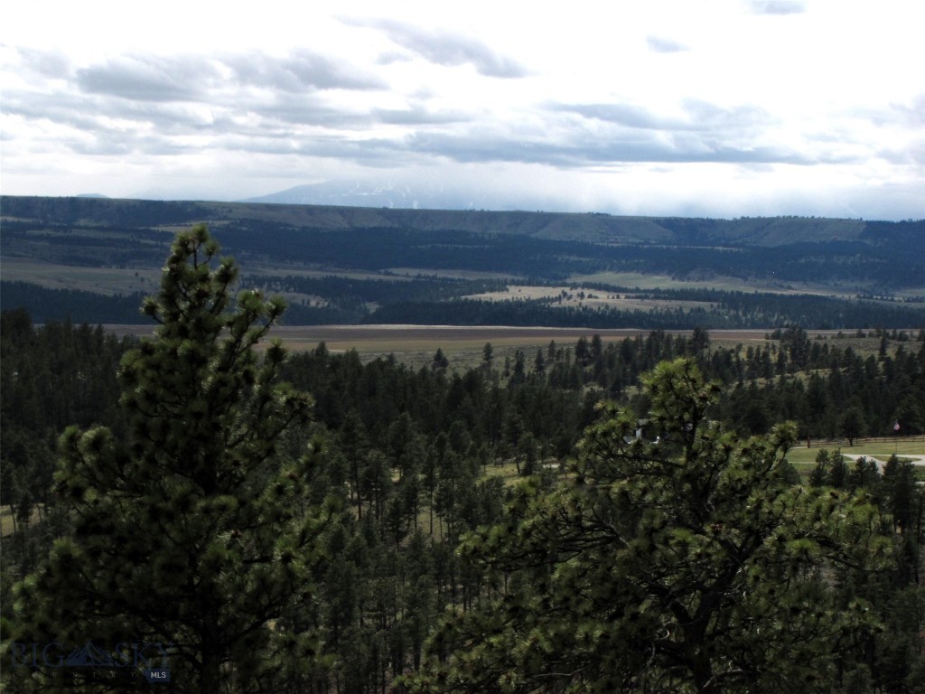 Tbd Wild Turkey Ridge Road Property Photo 7