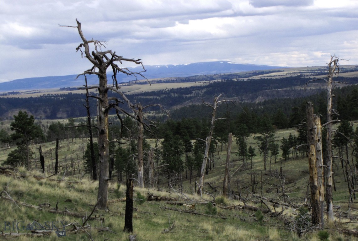 Tbd Wild Turkey Ridge Road Property Photo 10