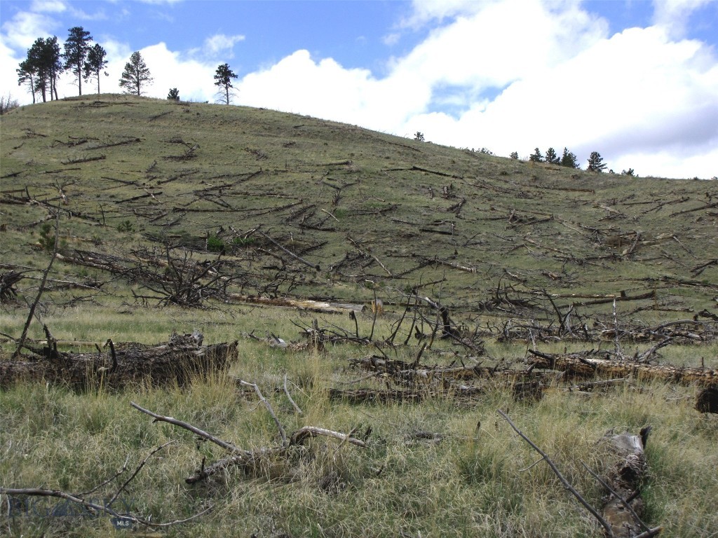Tbd Wild Turkey Ridge Road Property Photo 17