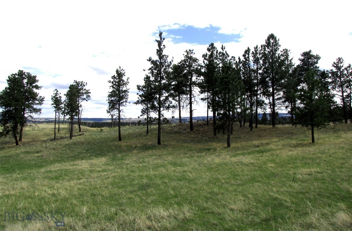 Tbd Wild Turkey Ridge Road Property Photo 23