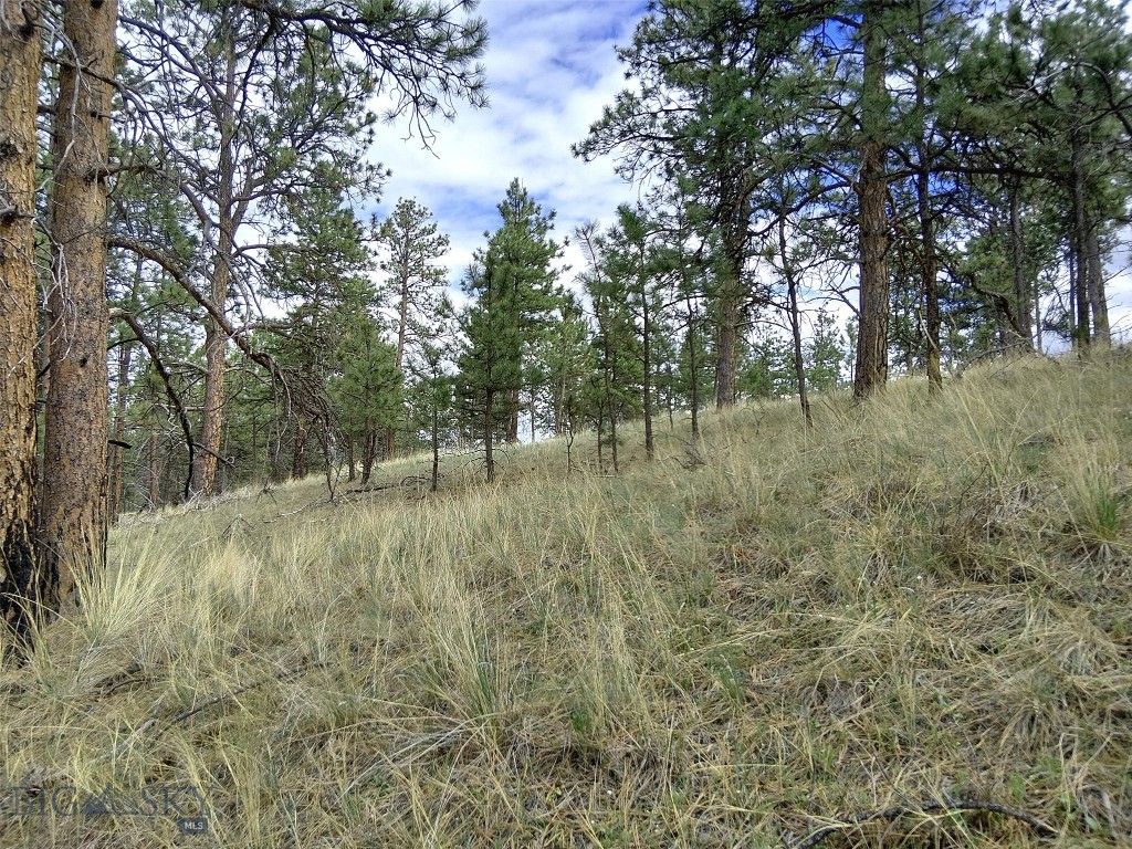 Tbd Wild Turkey Ridge Road Property Photo 25